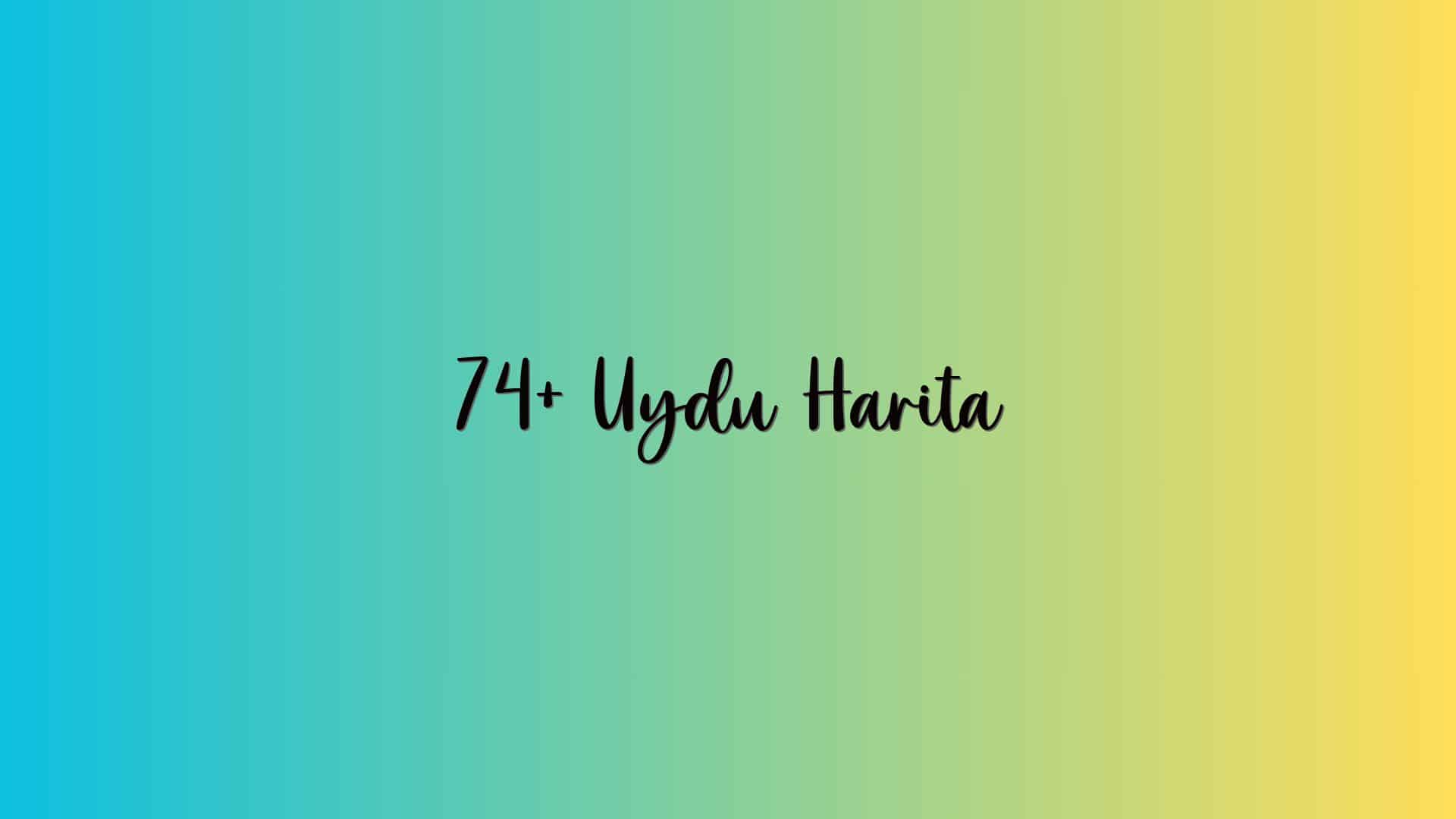 74+ Uydu Harita