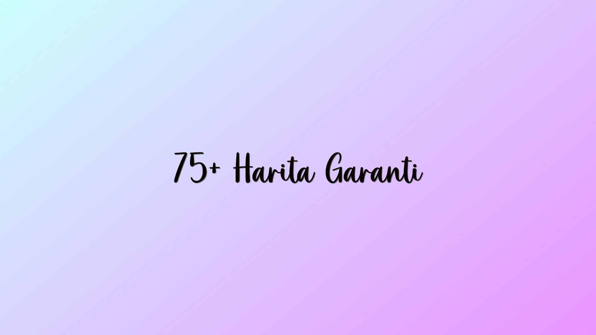 75+ Harita Garanti
